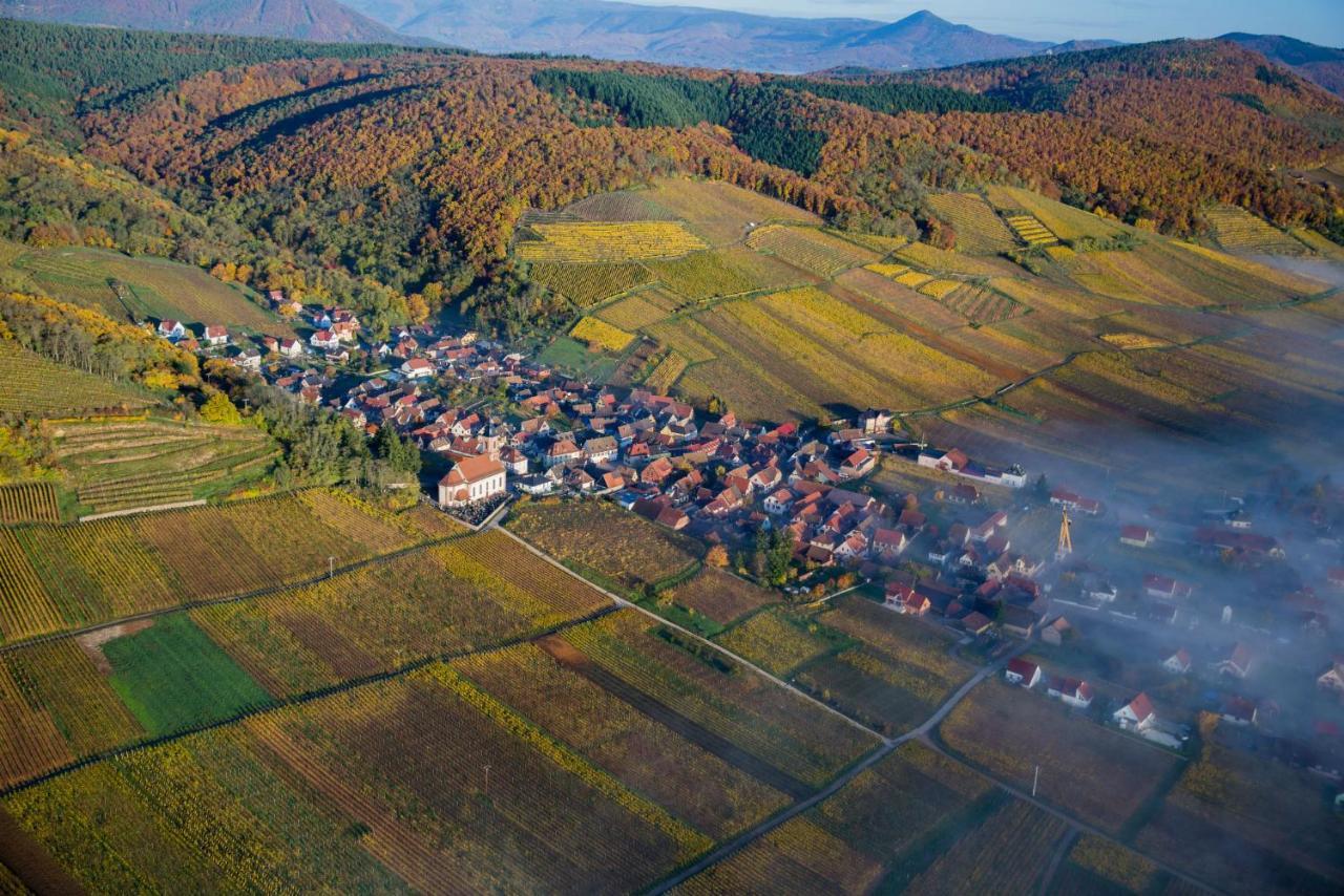 Maison De Ville Selestat Centre Dış mekan fotoğraf